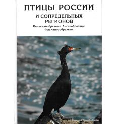 Птицы России и сопредельных регионов. Пеликанообразные, Аистообразные, Фламингообразные