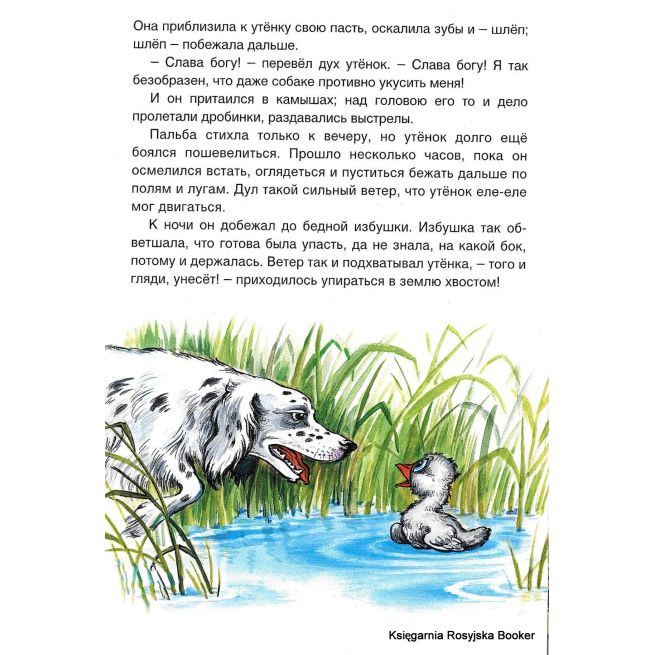 Гадкий утенок