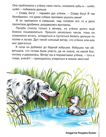 Гадкий утенок
