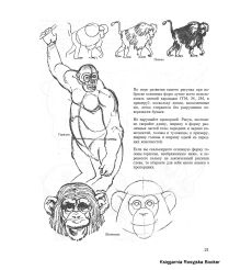Учитесь рисовать диких животных. Браун Д. 2