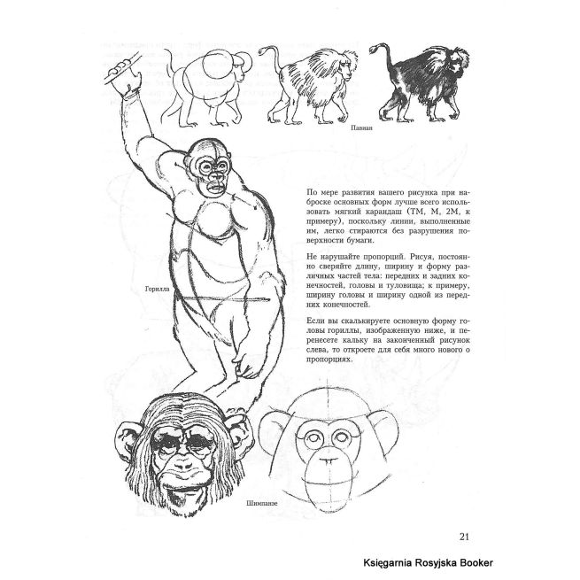 Учитесь рисовать диких животных. Браун Д.