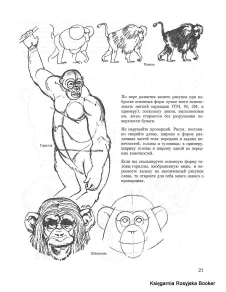 Учитесь рисовать диких животных. Браун Д.