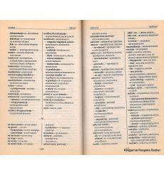 Новый русско-польский и польско-русский словарь делового человека/Słownik przedsiębiorcy 2