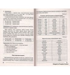 Польский без репетитора. Самоучитель польского языка 2