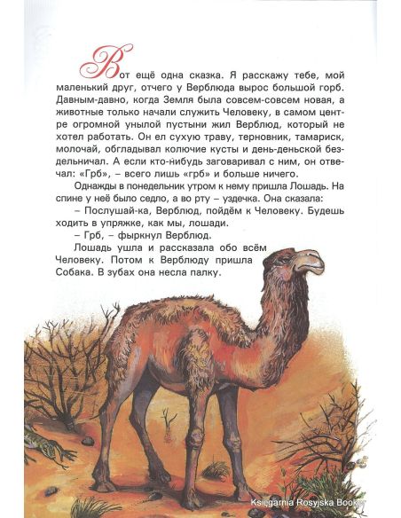 Киплинг Редьярд. Откуда у верблюда горб