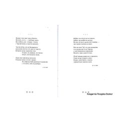 Костенко Ліна. Мадонна перехресть 2