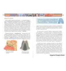 Человек. Детская энциклопедия 2