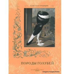 Породы голубей