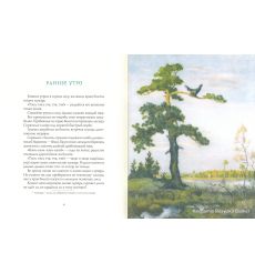 Соколов-Микитов Иван. Весна в лесу 2
