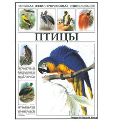 Птицы. Большая иллюстрированная энциклопедия