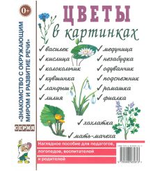 Цветы в картинках