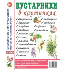 Женская одежда в картинках