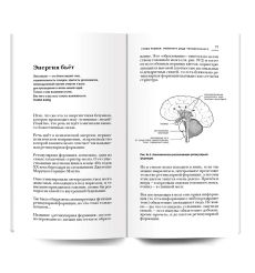 Курпатов Андрей. Красная таблетка-2. Вся правда об успехе 2