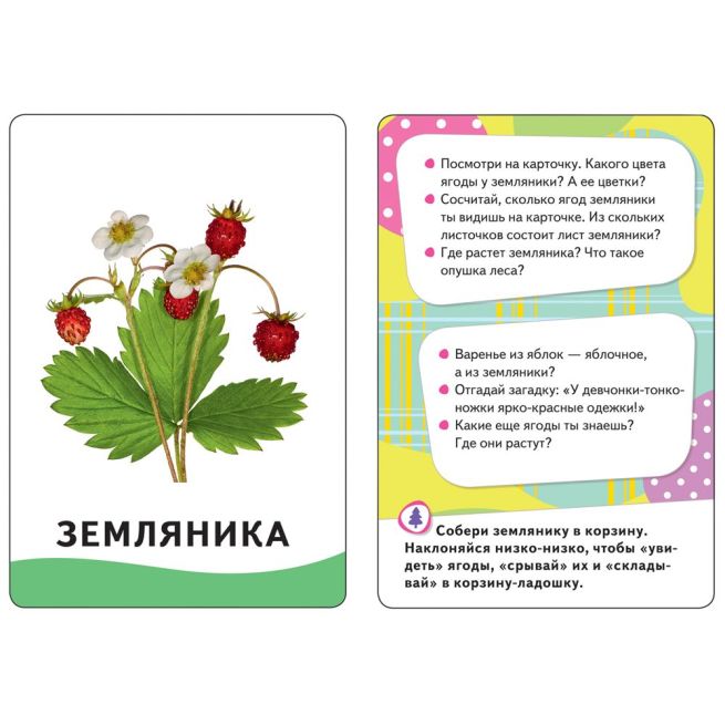 Умные карточки. В лесу