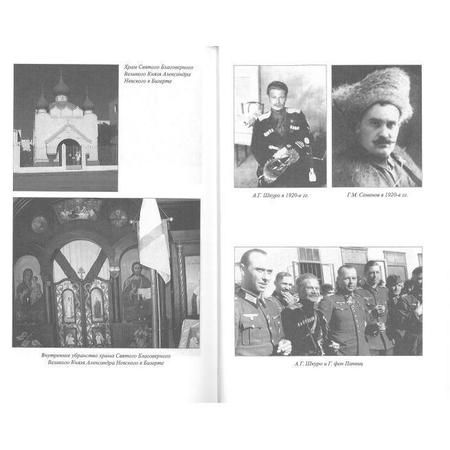 Изгнанная армия. Полвека военной эмиграции. 1920-1970 гг. Олег Гончаренко