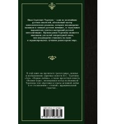 Ася. Первая любовь. Вешние воды. Иван Тургенев 2