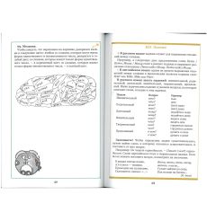 Русский язык: игры, загадки, упражнения. М. Калюга 2