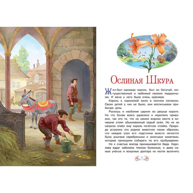 Ослиная шкура