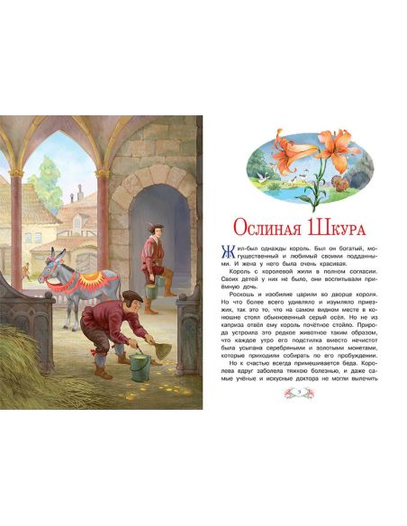 Ослиная шкура