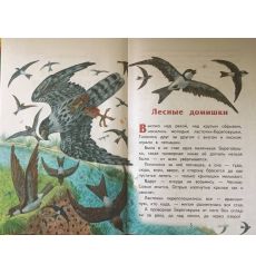 Лесные домишки. Виталий Бианки 2