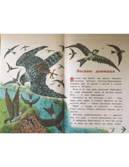 Лесные домишки. Виталий Бианки