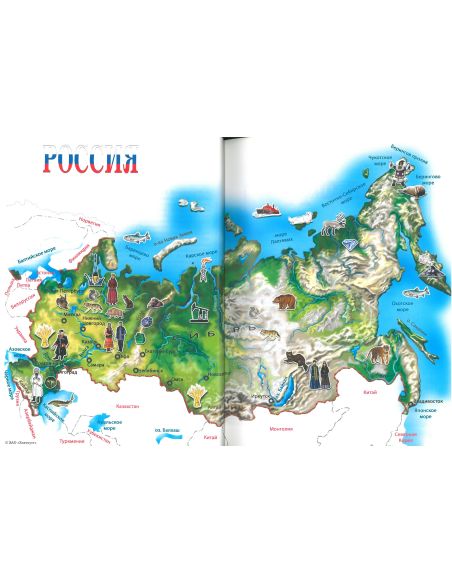 Спасибо! Учебник + 1CD