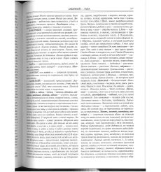 Большой толковый словарь живого великорусского языка. Современное написание 2