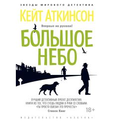 Большое небо. Кейт Аткинсон