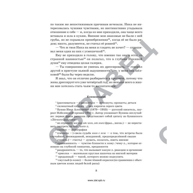 Пелевин В. Ника