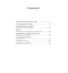 Леди Макбет Мценского уезда. Николай Лесков 2