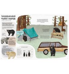 Ведмежа книга. Кейті Віґґерс 2