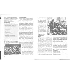 Итальянская армия 1940-1943. Европейский театр военных действий 2