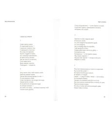 Лиснянская И. Перемещенные окна 2