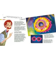 Генетика для детей. X и Y, девочка или мальчик? 2
