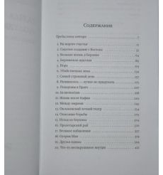 Диамант Кэти. Последняя любовь Кафки 2