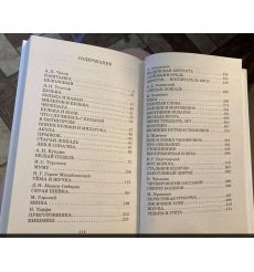 Белый пудель. Рассказы русских писателей 2
