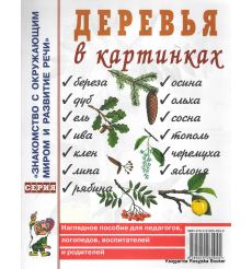 Деревья в картинках