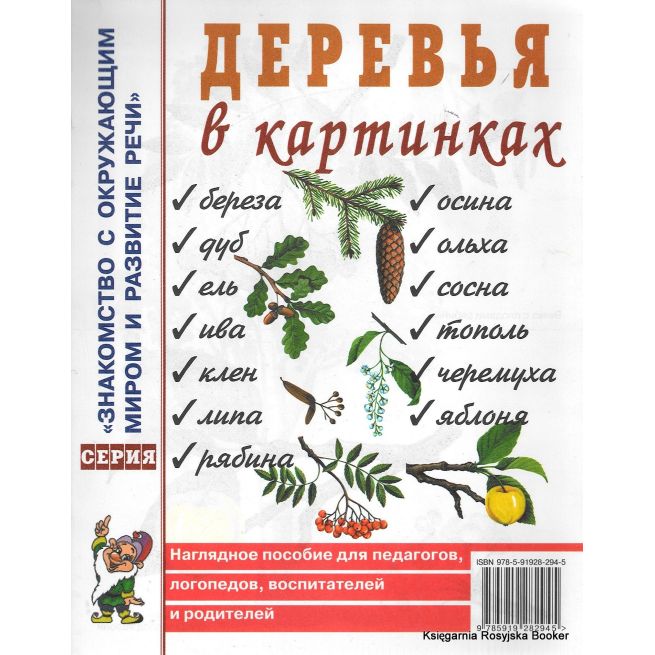 Деревья в картинках