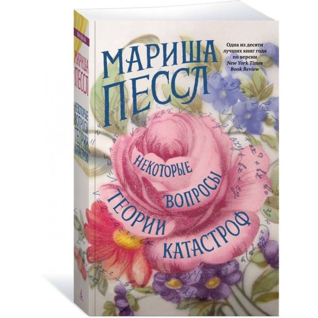 Некоторые вопросы теории катастроф. Мариша Пессл