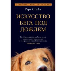Искусство бега под дождем. Гарт Стайн