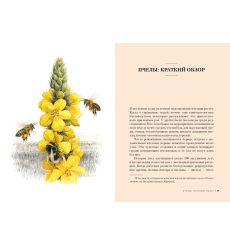 Пчелы. Что человек и пчела значат друг для друга. Фридрих Хайнбух 2