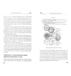 40 феноменов Болотова 2