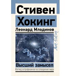 Высший замысел. Стивен Хокинг, Леонард Млодинов