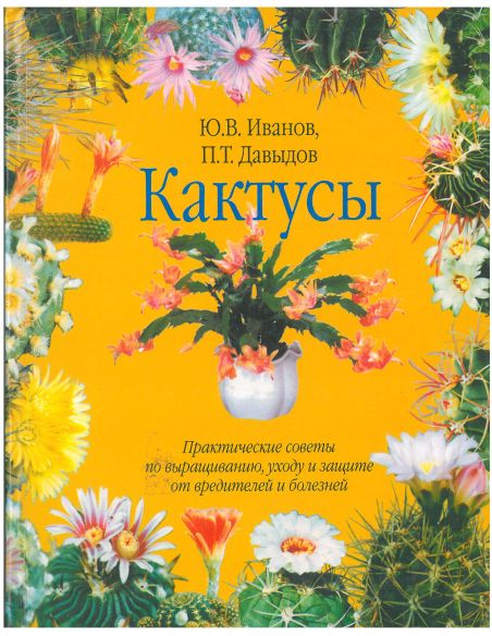 Кактусы. Иванов Юрий, Давыдов Павел