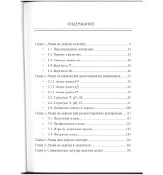 Современные шахматы. Атака на короля. А. Ким, С. Фокин 2