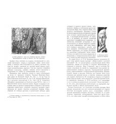 Вопросы живописи. Русская икона как искус живописи 2