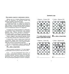 Алиреза Фирузджа учит тактике. Всеволод Костров 2