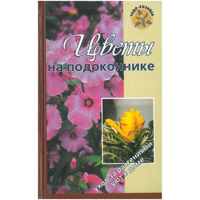 Цветы на подоконнике