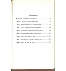 Цветы на подоконнике 2