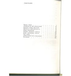 Андрей Платонов. Очерк жизни и творчества 2